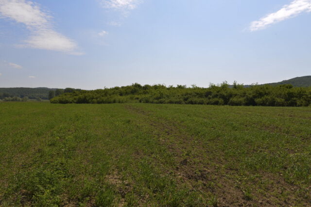 Clădirile de patrimoniu - averea Neamțului lăsată în ruină! 3 cetatea noua a romanului resize