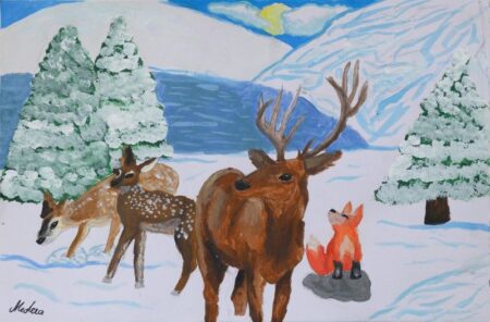 lucrare premiata medeea