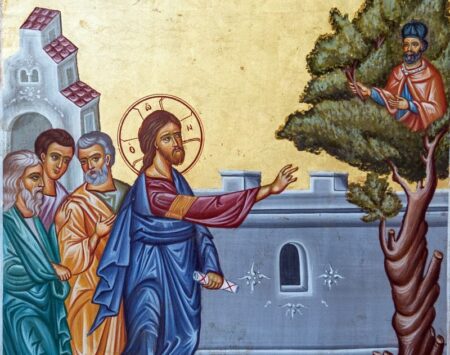 29 ISRAEL Ierihon sicomorul lui Zaheu Vamesul 8