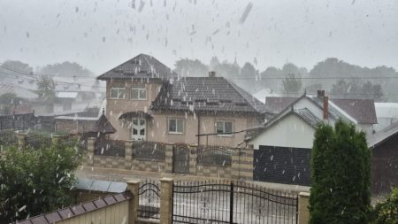 WhatsApp Image 2025 07 12 at 16.02.23