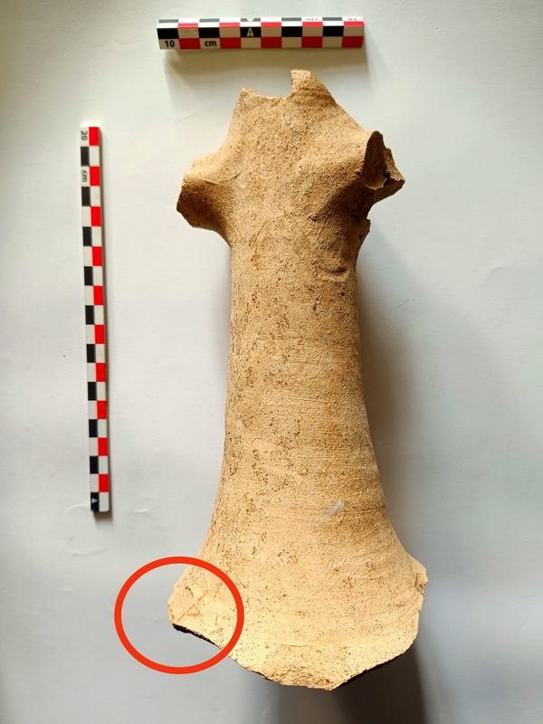 Descoperire arheologică pe traseul Autostrăzii A8, în apropiere de Târgu‑Neamț 4 arheologie 2026 2