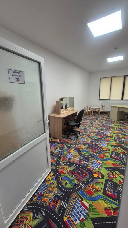 Incluziunea persoanelor cu dizabilități – prioritate strategică a Consiliului Județean Neamț 4 cj cz luceafarul resize