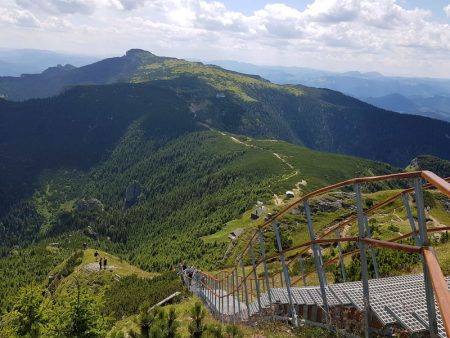 scari toaca noi doicalatori.ro resize