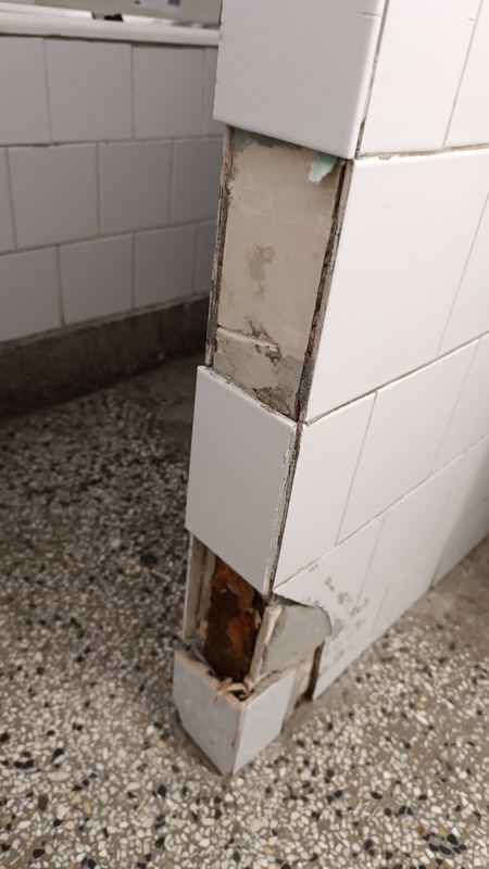 MESAGERUL 700 / Cât de bolnavă este sănătatea în Neamț? 6 sjun catastrofa 6 resize