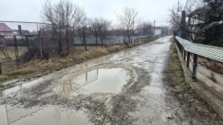 WhatsApp Image 2026 02 07 at 19.05.30 1