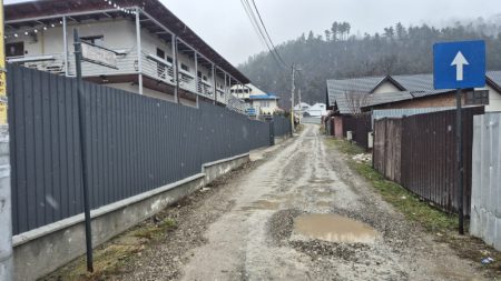 Târgu-Neamț, oraș turistic de interes național, dar dezinteresat de turism WhatsApp Image 2026 02 08 at 20.24.00