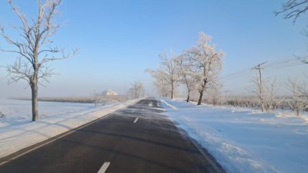 WhatsApp Image 2026 02 16 at 09.21.45