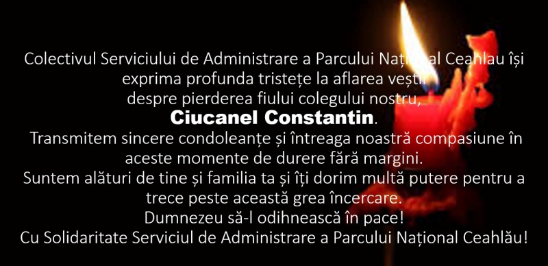 WhatsApp Image 2026 02 17 at 14.36.03