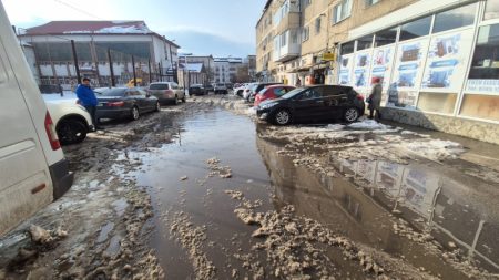 WhatsApp Image 2026 02 19 at 17.18.42