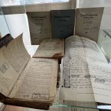 gt kirileanu expo ion creanga 2026 10