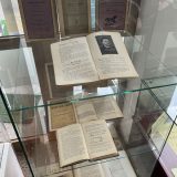 gt kirileanu expo ion creanga 2026 17