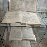 gt kirileanu expo ion creanga 2026 22