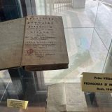 gt kirileanu expo ion creanga 2026 3