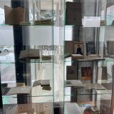 gt kirileanu expo ion creanga 2026 6