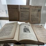 gt kirileanu expo ion creanga 2026 9