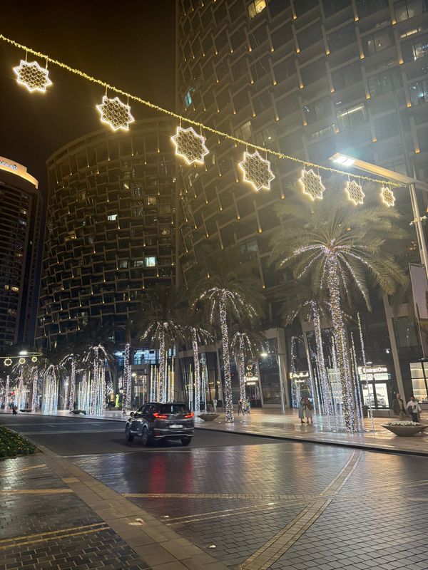 Copiii blocați în Dubai se întorc în țară, cu autocare, însoțiți de angajați diplomați 3 Dubai 2