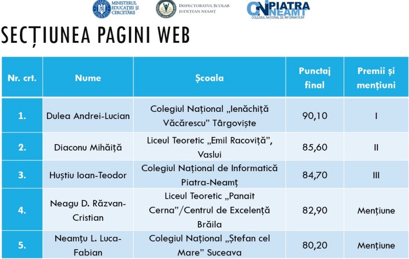 PAGINI WEB CLASA A IX A