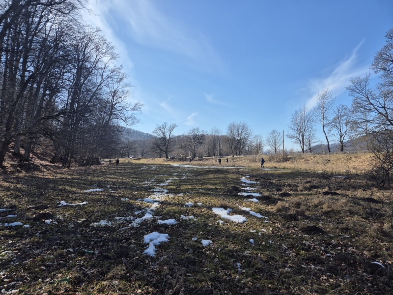 FOTO. Atmosferă de primăvară în zona Mănăstirii Secu. Poftiți la ghiocei! 4 WhatsApp Image 2026 03 08 at 14.59.18