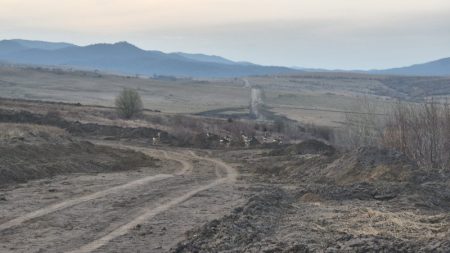 WhatsApp Image 2026 03 22 at 19.35.42