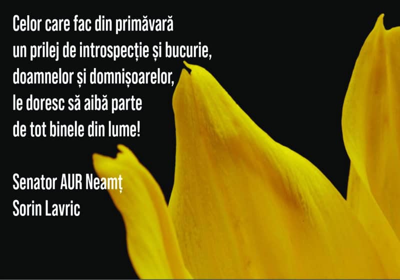 aur lavric resize - 8 MARTIE Felicitări din partea unora dintre oamenii politici din Neamț