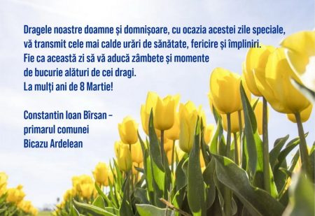 bicazu ardelean resize