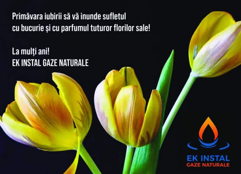 ek instal resize - 8 MARTIE Urări din partea unora dintre societățile comerciale din Neamț