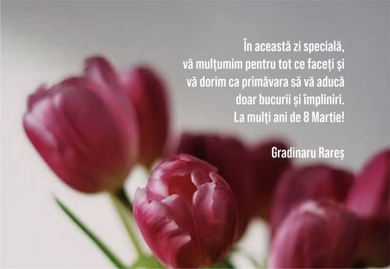 gradinaru rares resize - 8 MARTIE Urări din partea unora dintre societățile comerciale din Neamț