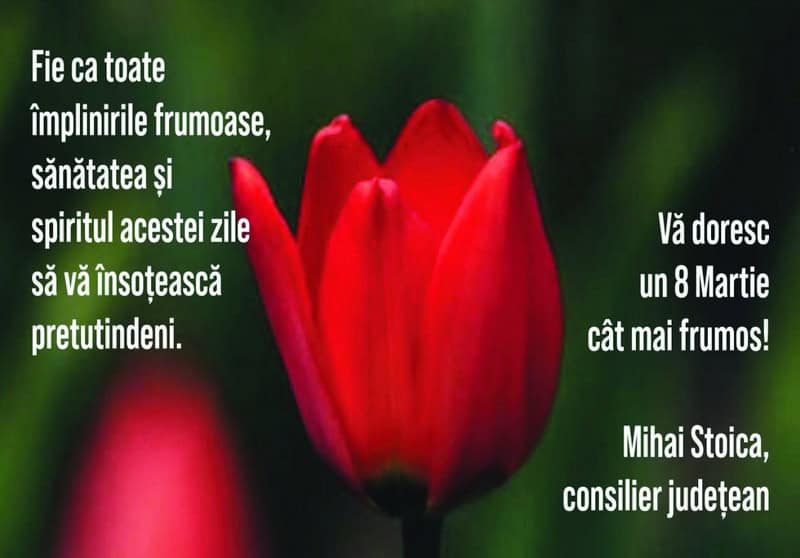 mihai stoica resize - 8 MARTIE Felicitări din partea unora dintre oamenii politici din Neamț