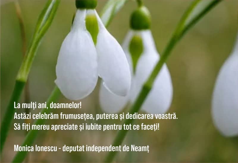 monica ionescu deputat resize - 8 MARTIE Felicitări din partea unora dintre oamenii politici din Neamț