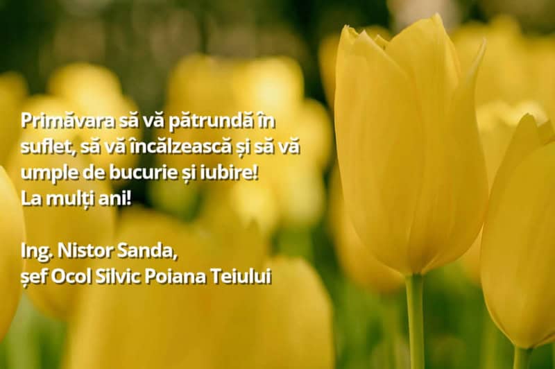 ocol silvic poiana teiului resize - 8 MARTIE Felicitările Direcției Silvice, a Ocoalelor Silvice din Neamț și a Sindicatului Silvicultorilor