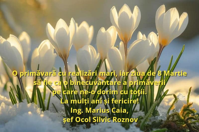 ocol silvic roznov resize - 8 MARTIE Felicitările Direcției Silvice, a Ocoalelor Silvice din Neamț și a Sindicatului Silvicultorilor