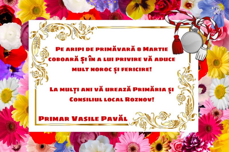 roznov vasile paval resize - 8 MARTIE Urările primăriilor din mediul rural din Neamț