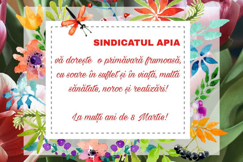 sindicat apia resize - 8 MARTIE Urări din partea unora dintre societățile comerciale din Neamț