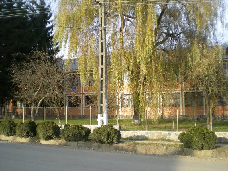 Educație. O școală din Neamț boicotează simularea Evaluării Naționale! 1 tazlau