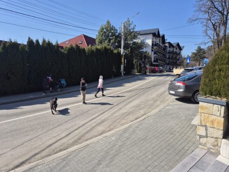 tg cetatea neamtului 2026 2 resize