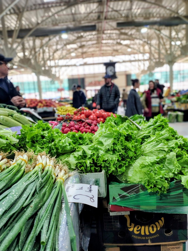 URBAN verdeturi resize