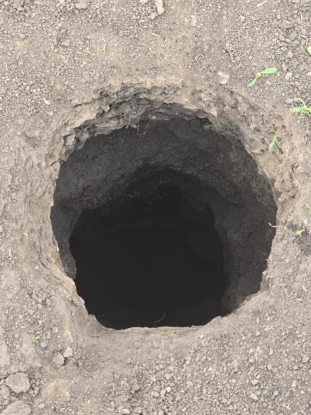 WhatsApp Image 2026 04 21 at 15.59.53 1