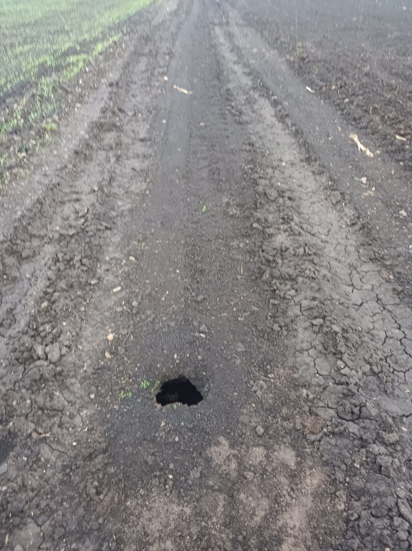 WhatsApp Image 2026 04 21 at 15.59.53