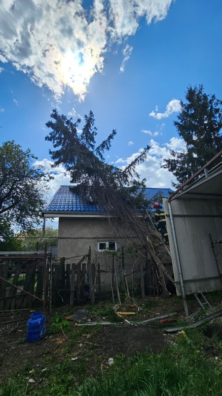 Copaci căzuți pe carosabil în Piatra-Neamț, intervenții ale pompierilor în condiții de cod portocaliu de vânt 1 WhatsApp Image 2026 04 26 at 13.00.51