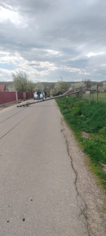 Știre actualizată. Copaci căzuți pe carosabil în Piatra-Neamț. Mii de nemțeni nu au curent, drumuri blocate din cauza copacilor căzuți 1 WhatsApp Image 2026 04 26 at 14.50.46