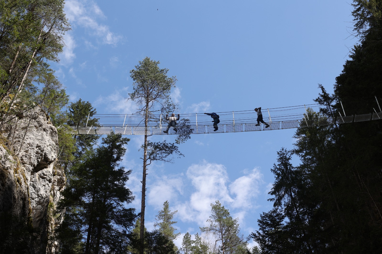 Clubul de jurnalism de mediu de la Borca pe Valea Bicazului – excursia tematică 2 6 WhatsApp Image 2026 04 26 at 15.12.18 1