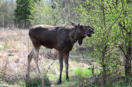 WhatsApp Image 2026 04 28 at 14.41.23