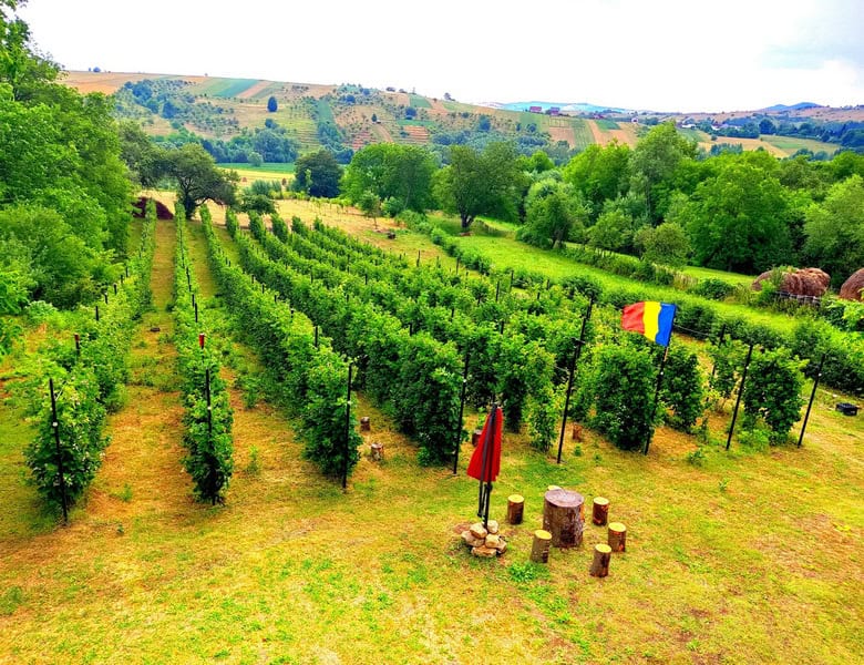 andrei vleju 5 resize - Între icoane și mure: povestea unui tânăr din Agapia care și-a construit viața între artă și natură