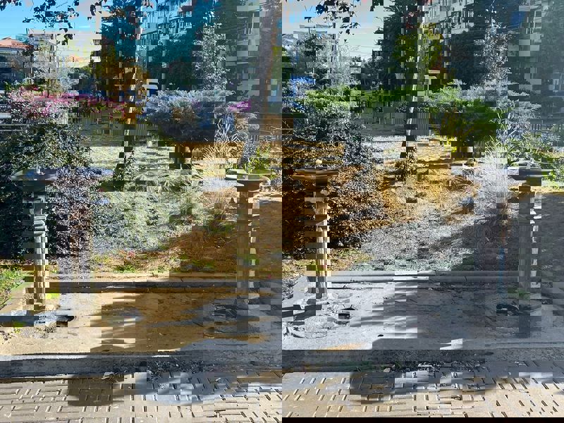 FOTO&VIDEO Ședință de îndată la Piatra Neamț: finanțare pentru 3 proiecte turistice de peste 240 de milioane de lei 3 cuejdi 3