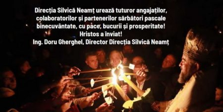 directia silvica resize