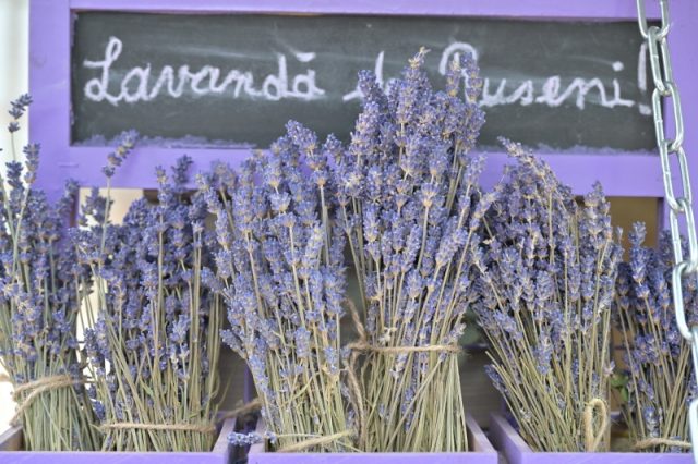 f2d7ff9e 7f94 454d 8715 959f1dc04e75