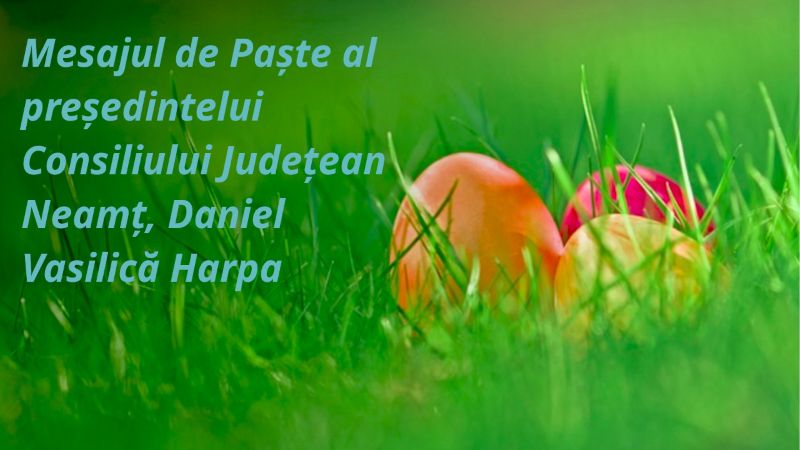 harpa felicitare bun