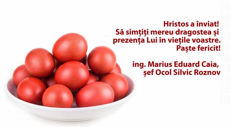 os roznov resize - PAȘTE 2026 Felicitările Direcției Silvice, Sindicatului Silvicultorilor și Ocoalelor Silvice