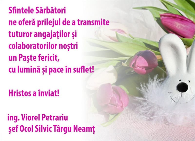 os targu neamt resize - PAȘTE 2026 Felicitările Direcției Silvice, Sindicatului Silvicultorilor și Ocoalelor Silvice