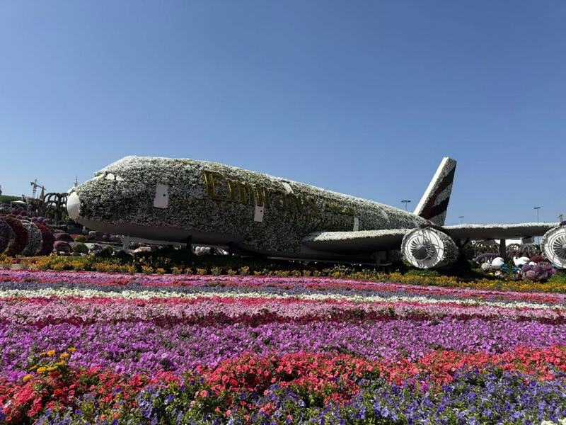 Aventura Dubai - pachet ”turistic” de lux în zona de război! 4 parc miracle dubai